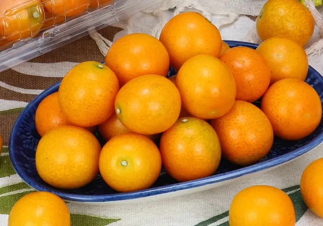 甜桔功效全解析：從營養到實用，一次搞懂對健康的益處