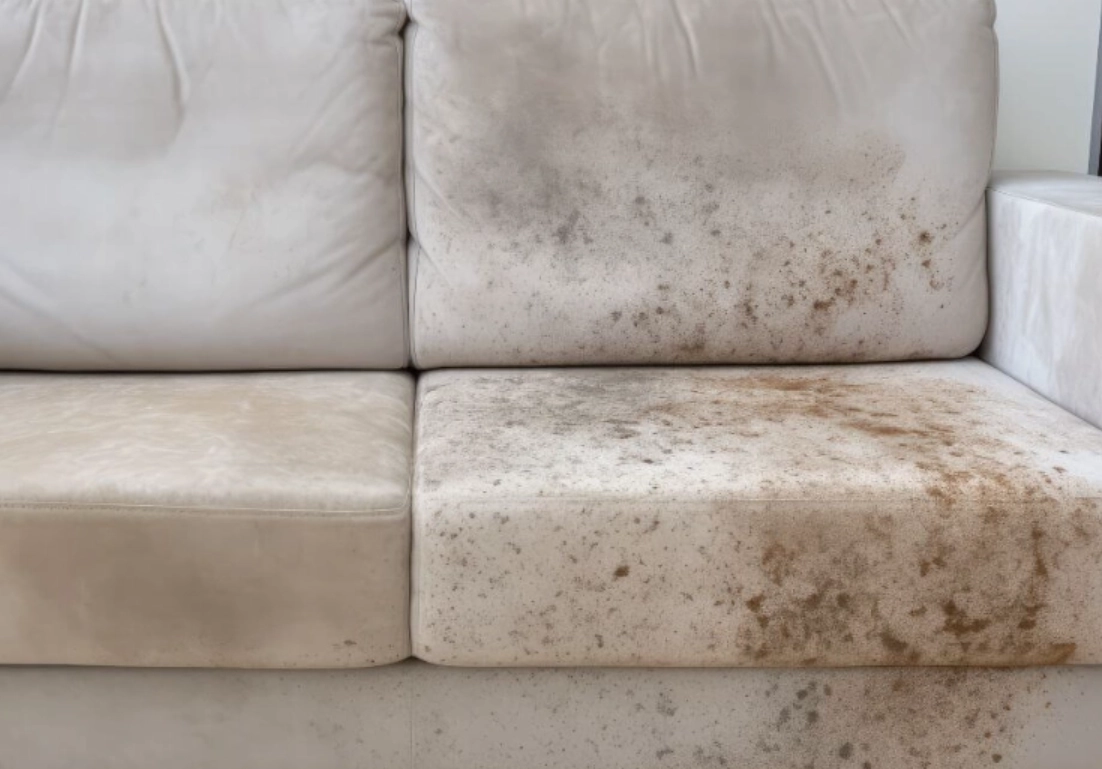絨布發霉清潔
