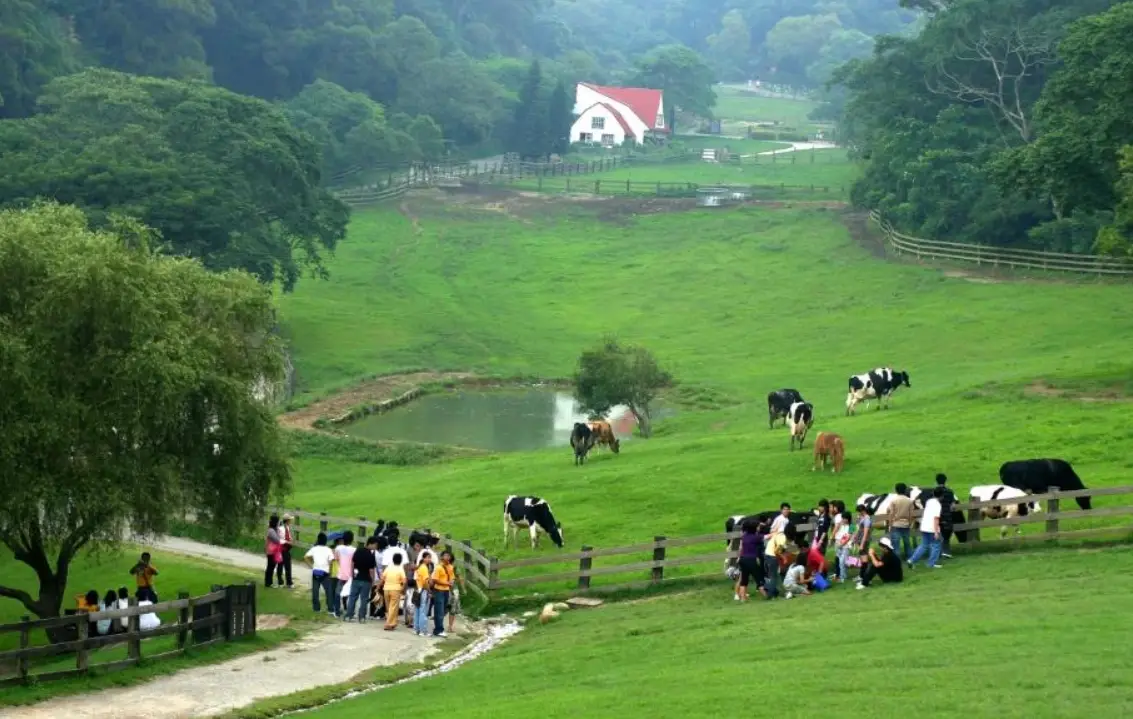 親子農場推薦 親子農場推薦