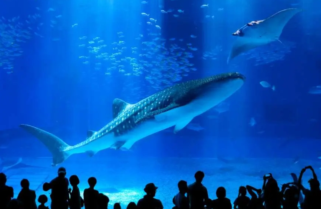 沖繩親子景點推薦