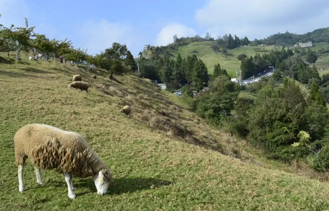 農場住宿體驗 農場住宿體驗