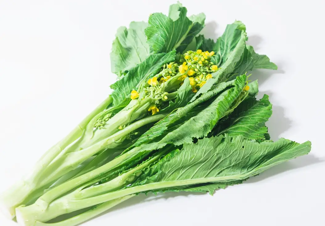 有花的菜全指南：從挑選、料理到居家栽種的實用技巧