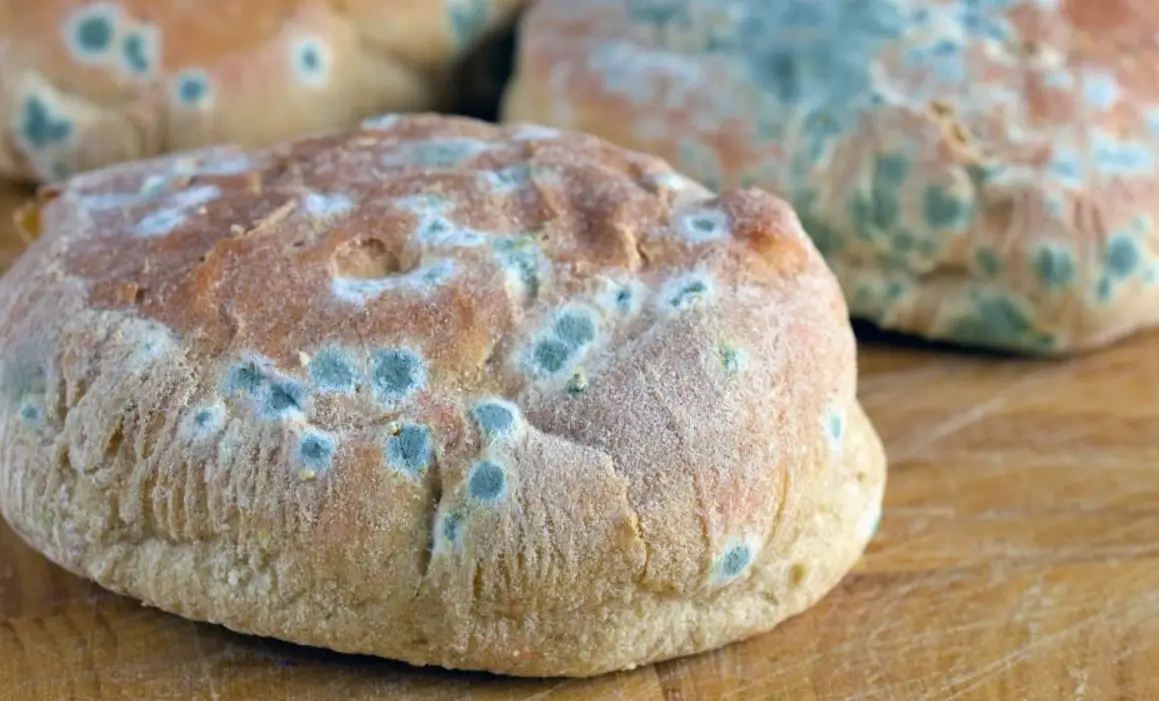 吃到發霉食物怎麼辦？誤食後的緊急處理與預防全指南