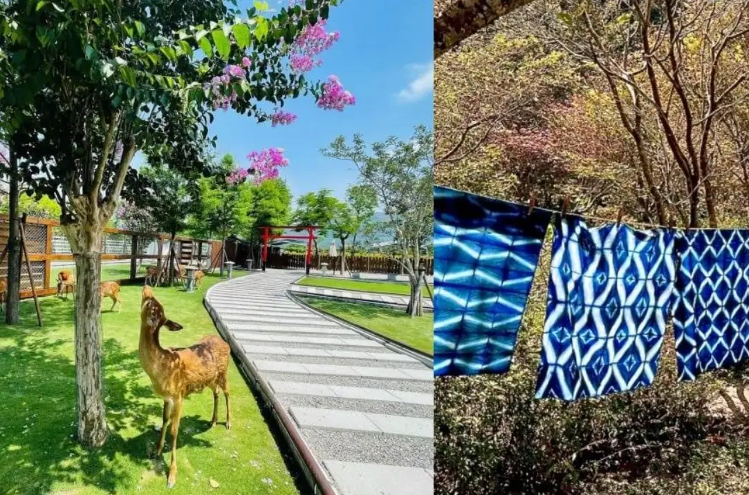 北部休閒農場推薦：精選5家親子同樂、情侶約會首選農場體驗