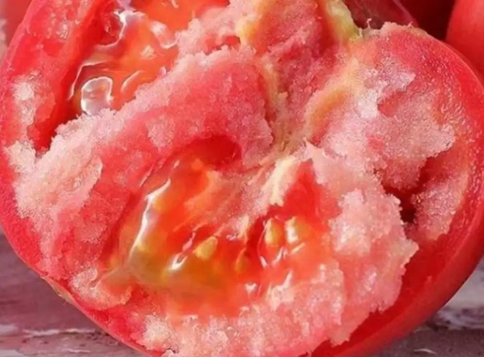 粉柿番茄種植全攻略：從陽台栽培到美味收成的實用技巧