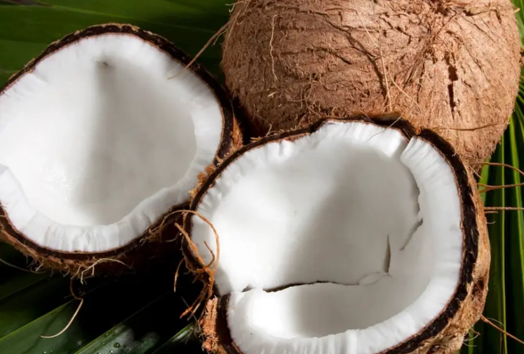 椰子肉熱量