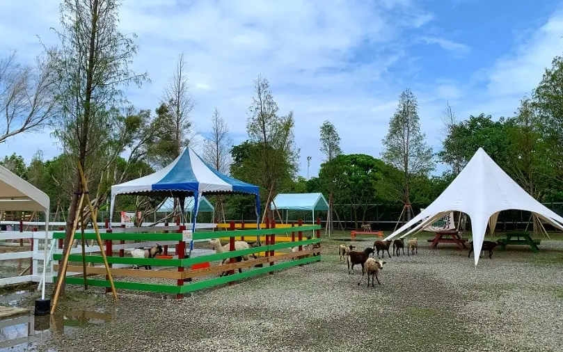 探索雲林嘉義親子農場：帶孩子放電、親近自然的完美一日遊攻略