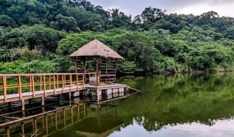 大溪一日遊行程