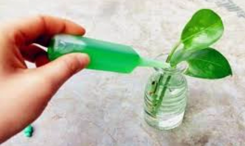 水耕植物營養液使用方法