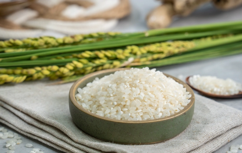 台南11號台梗9號怎麼買？煮飯秘訣與產地故事全解析