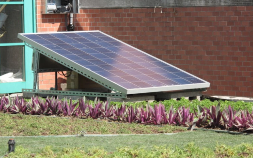 太陽能自動灑水器選購指南：告別澆水煩惱的智能園藝方案