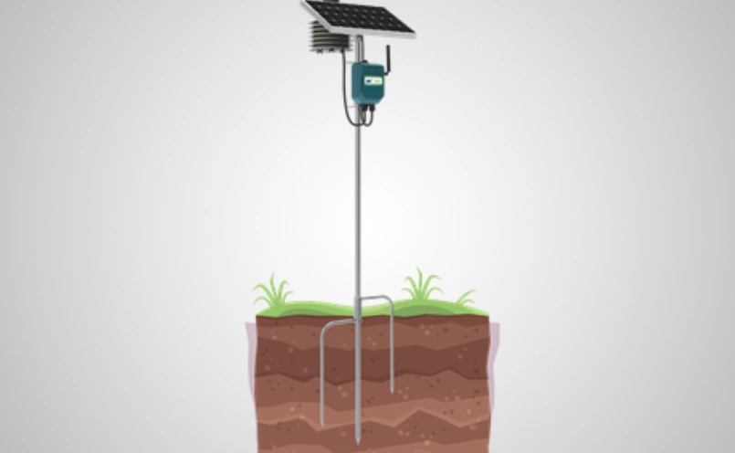 積溫計算全攻略：從原理到應用，精準掌握植物生長節奏