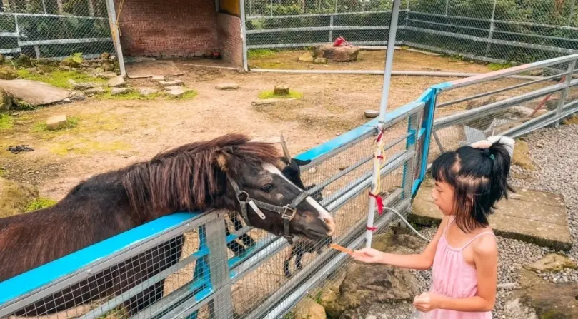 嘉義親子農場一日遊