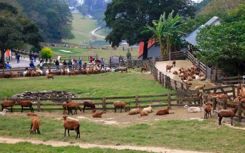 台灣農場住宿