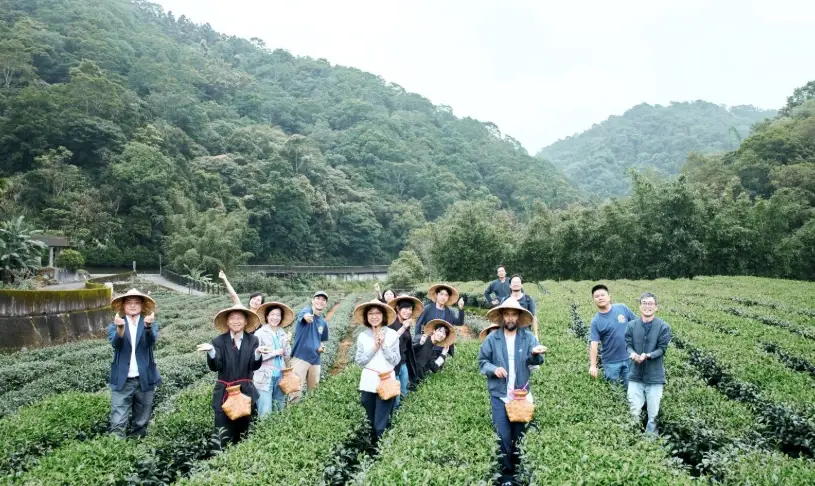 紅茶怎麼泡好喝