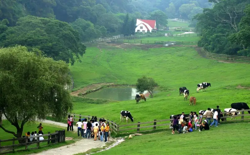 台灣休閒農場