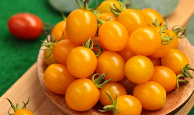 台灣番茄品種全攻略：從市場挑選到陽台種植的完整指南