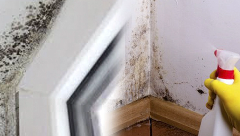 居家防霉