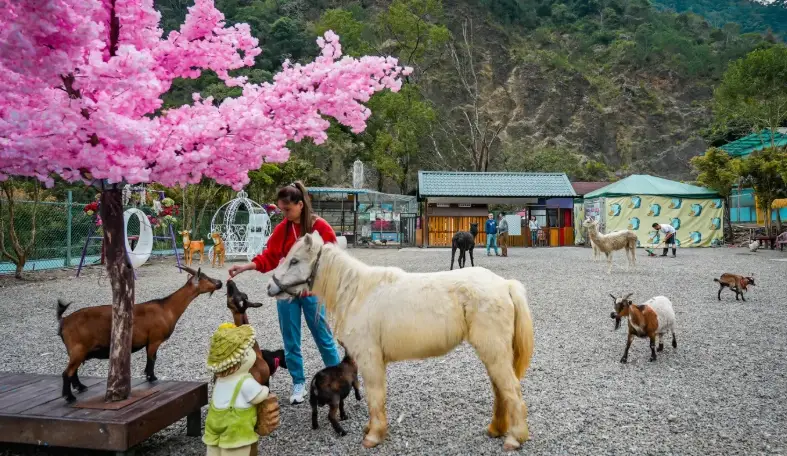 南投農場動物互動體驗全攻略：親子出遊首選景點