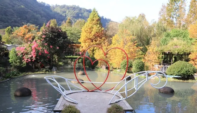 清境農場綿羊秀