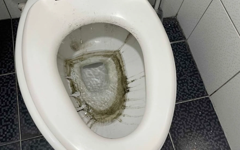 馬桶內部發霉清潔全攻略：告別黑斑與異味的終極解法