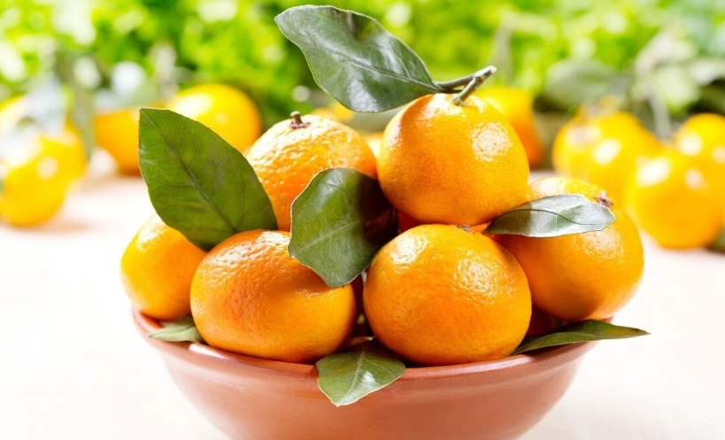 橘子營養