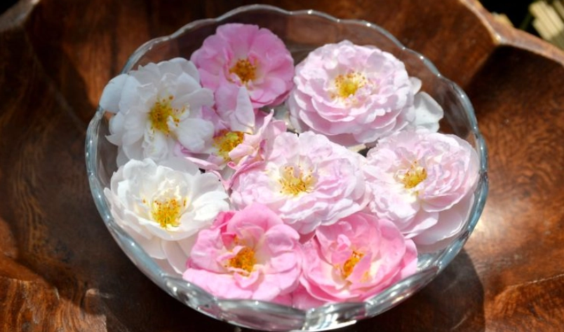 鮮花保存酒精終極指南：告別乾燥花，留住鮮花最美瞬間