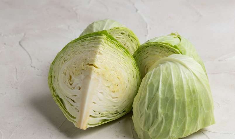 高麗菜發黃怎麼辦？完整圖解原因與救活步驟