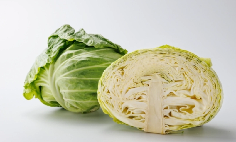 高麗菜種植問題