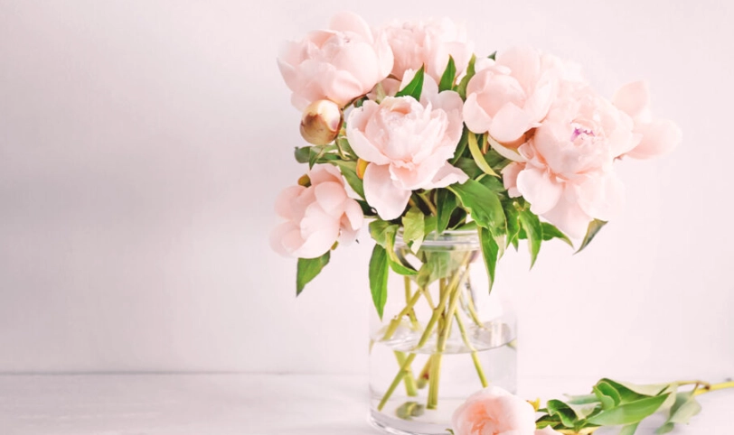 延長花束壽命的終極指南：鮮花保存技巧大公開