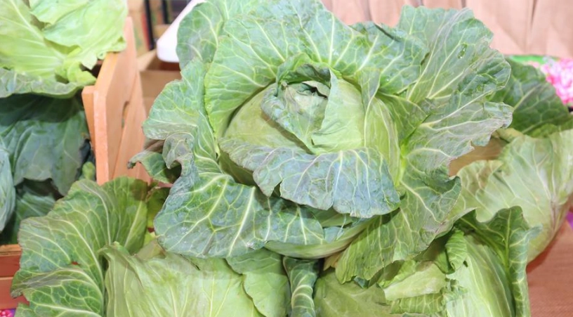 高麗菜葉子發黃