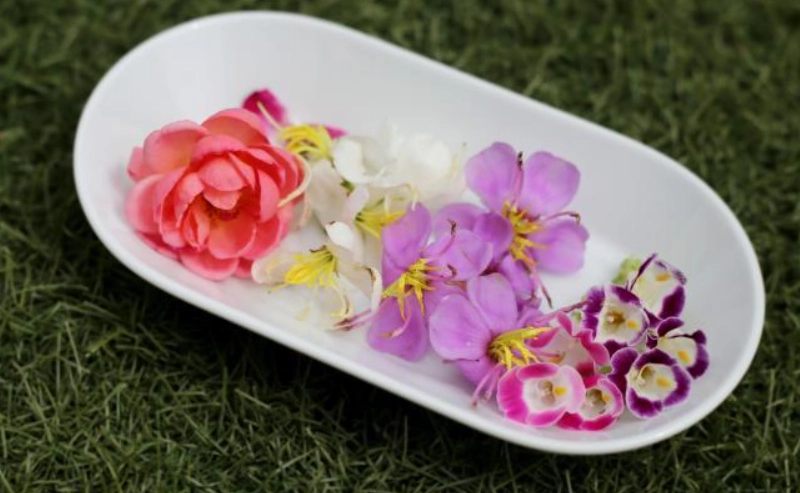 食用花卉入門指南：從挑選、清洗到創意食譜，安心享受花宴