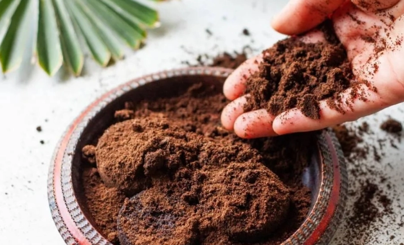 桂花咖啡渣的5種創意用法：從除臭到護膚的完整指南