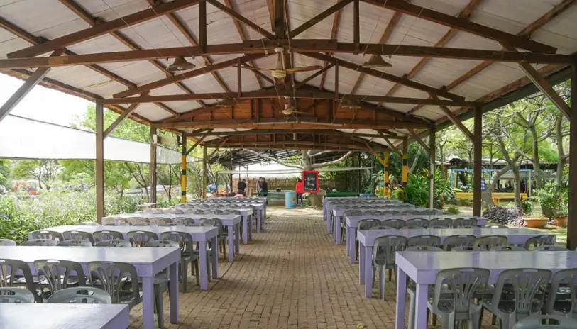 北部休閒農場餐廳精選：療癒系美食與自然體驗一次滿足