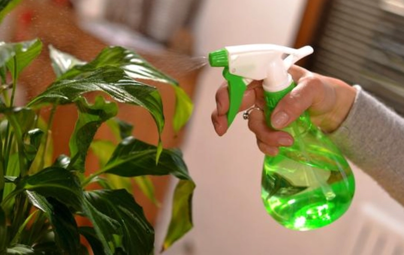 小蘇打除蟲比例