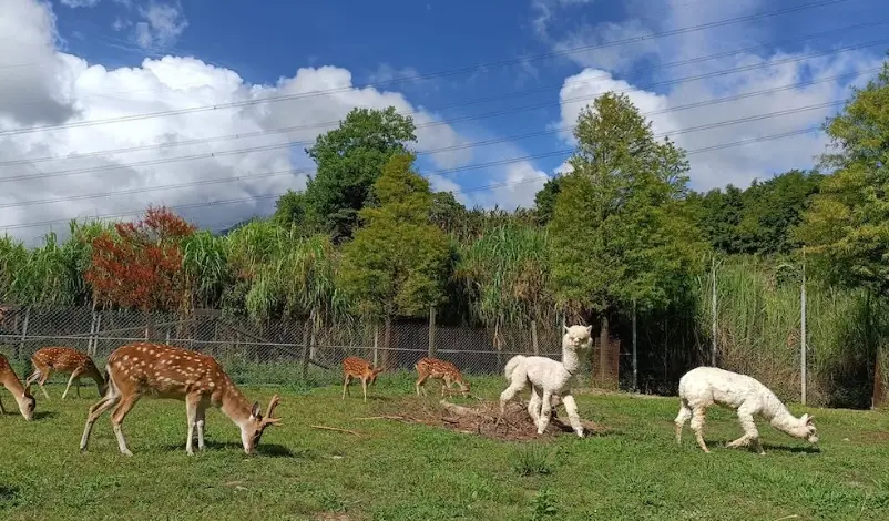 中部親子農場完整指南：三大特色農場深度攻略與行程規劃
