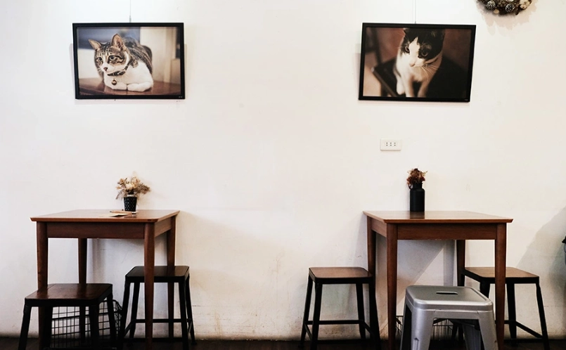 台南素食餐廳推薦