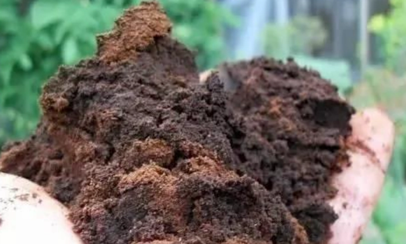 咖啡渣除臭 咖啡渣除臭