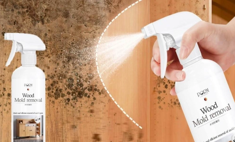 木頭發霉處理 木頭發霉處理