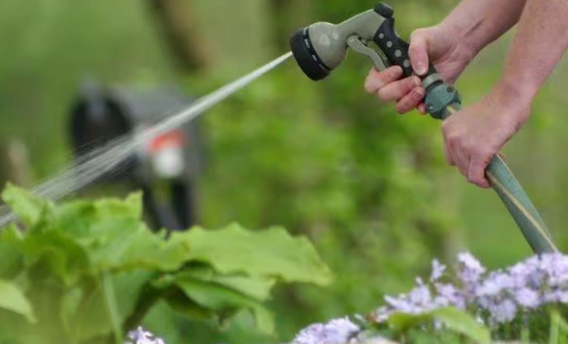 植物熱傷害 植物熱傷害