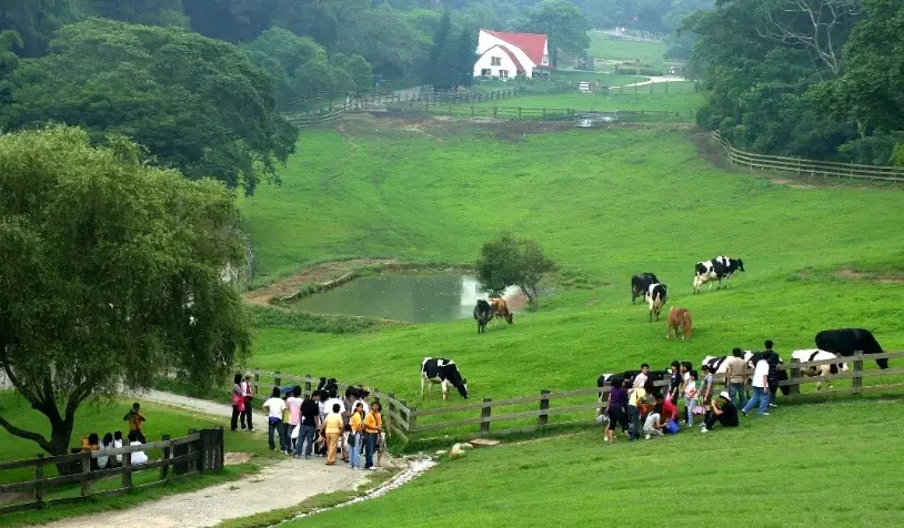中部親子農場一日遊 中部親子農場一日遊