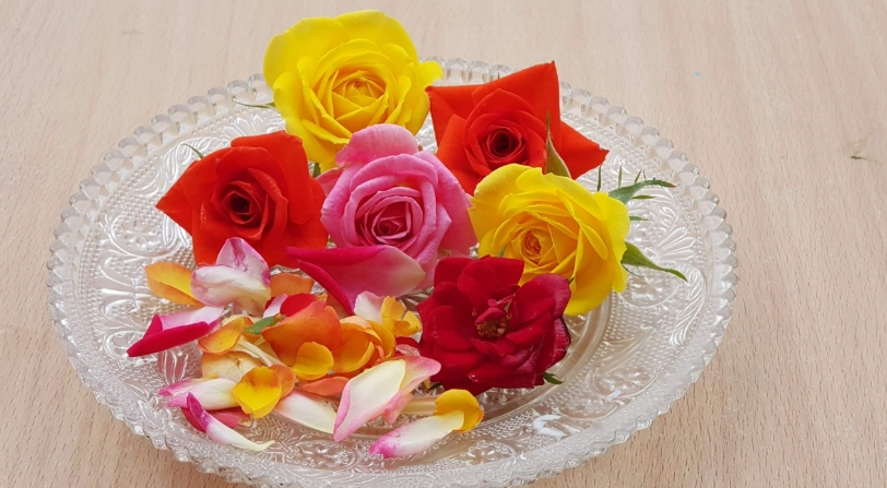 花卉料理 花卉料理