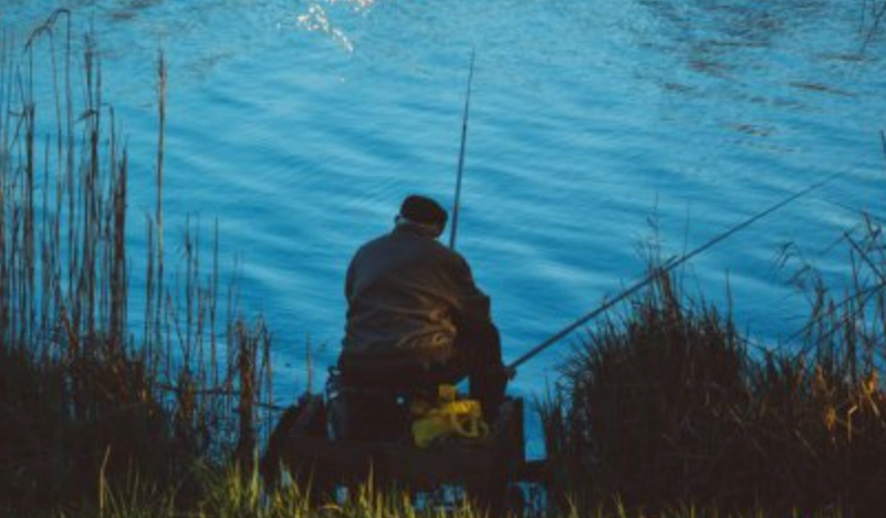 放生 夢境 意義