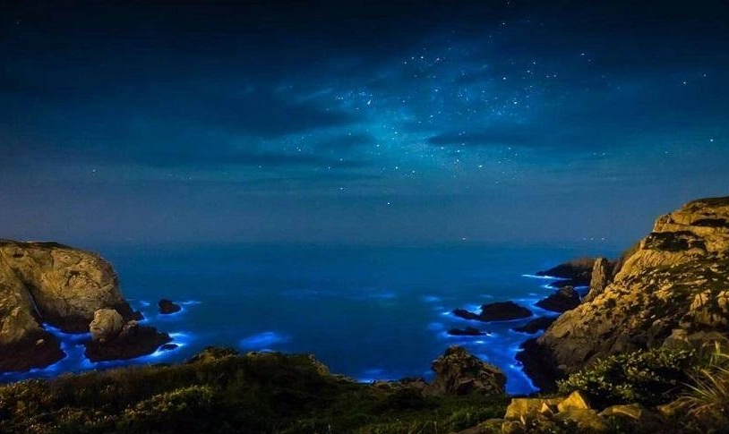 藍眼淚觀賞地點