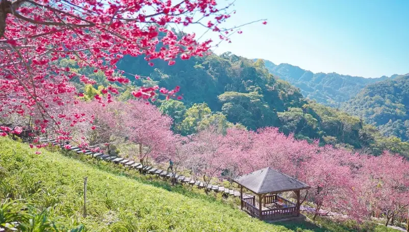 台中農場一日遊