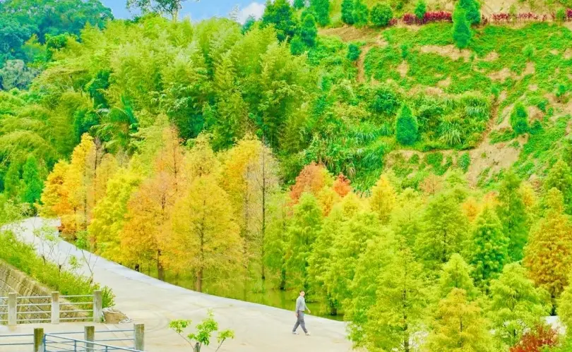 苗栗十大景點評分最高