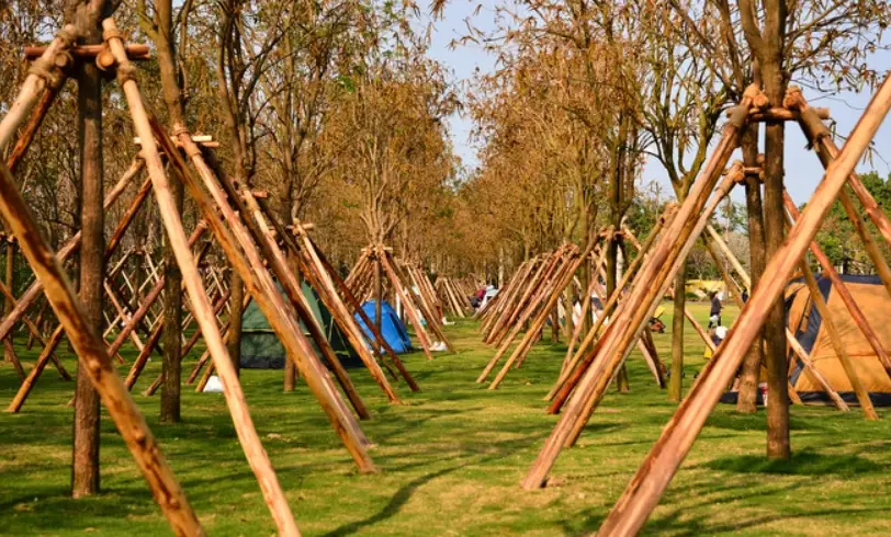 樹木支撐架選購安裝全攻略：保護新植樹木的關鍵步驟