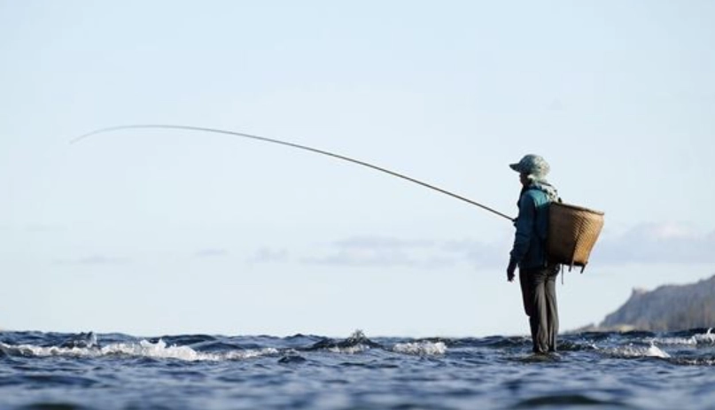 夢到釣魚放生解析：從心理學到生活啟示的深度探討