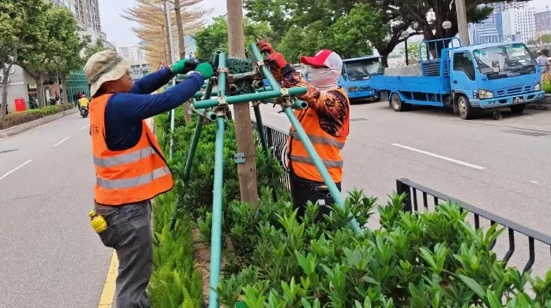 樹木支撐架材料選擇