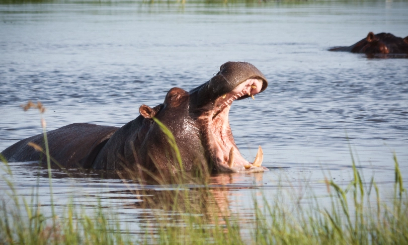 台中農場一日遊